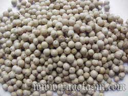 WHITE-PEPPER-WHOLE